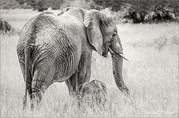 Mother and Daughter_CCC_2020 _7199 copy