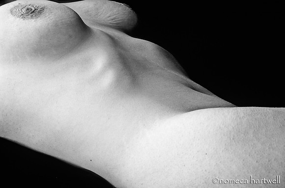 Body Form