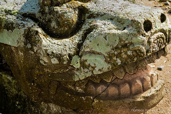 Caiman sculpture