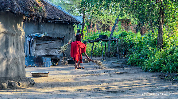 Morning Sweep_2020 _7323
