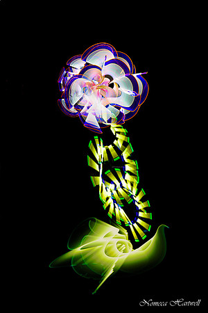 Ephemeral Flower2_ 21_9921 copy