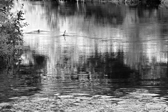 Water Color B&W