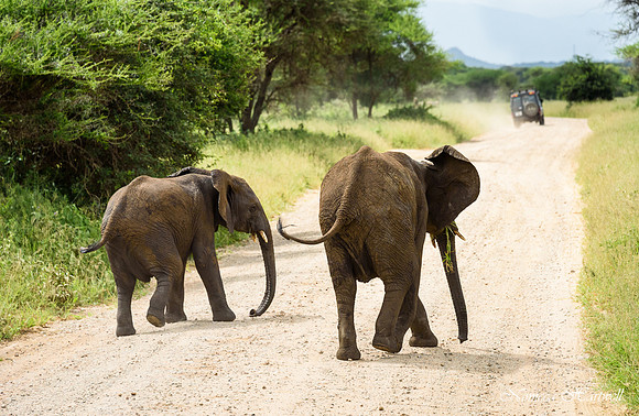 Tanzania_2020 _7203