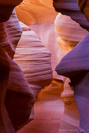 Canyon Maze