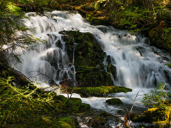 Pearsoney Falls