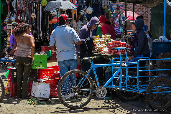Rivas Terminal Market