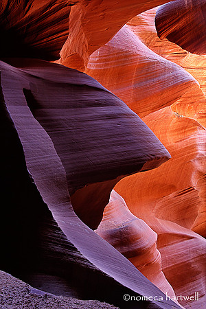 Canyon Cathedral