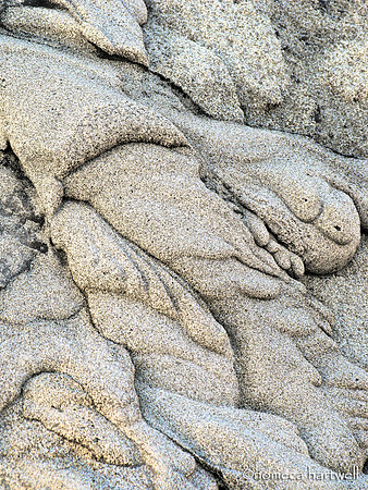 Muted Sand Forms