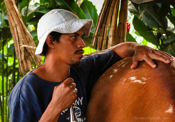 Farmhand