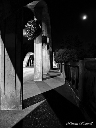 Bridge Shadows_16.6x12.5_09_9923