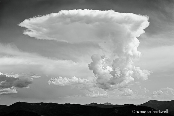 Parachute Cloud
