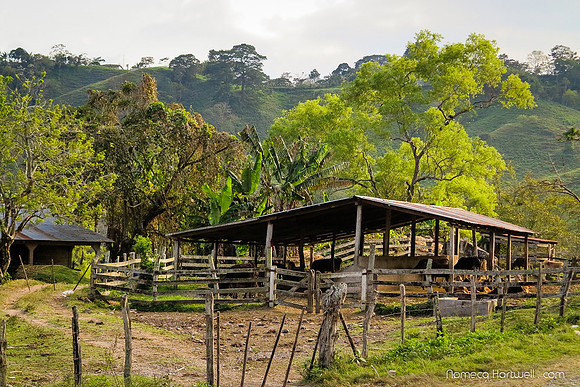 Rural Farm