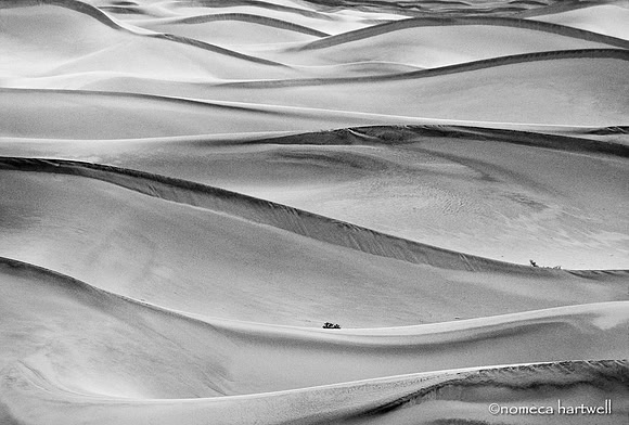 Sand Waves